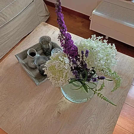 Christinahoeve Hooiberg #6 公寓 *